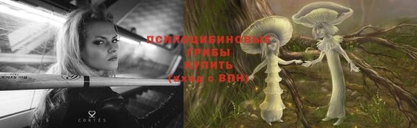 скорость Богородицк