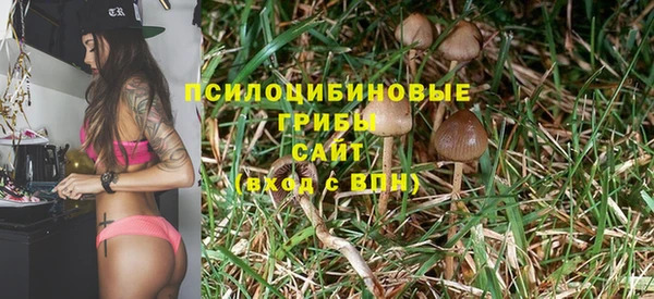 скорость Богородицк