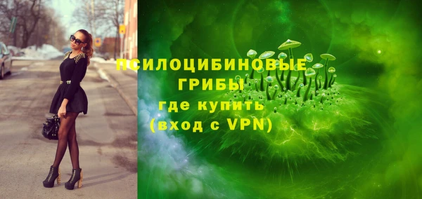 a pvp Богданович